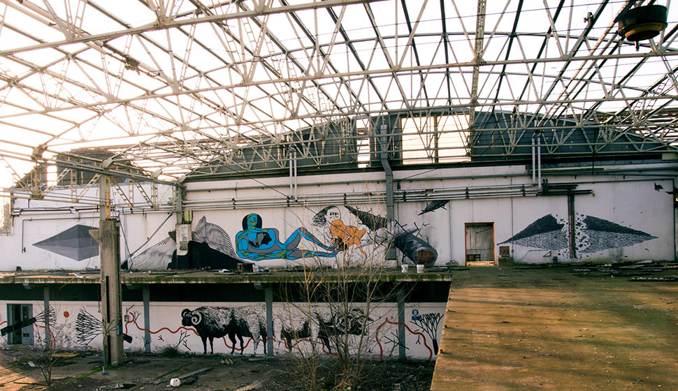 ciredz | 2501 | zolta | recidif | tellas | bologna | italy