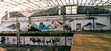 ciredz | 2501 | zolta | recidif | tellas | bologna | italy (11 votes)