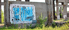eleuro | italy (13 votes)
