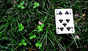 elfo | grass | italy (17 votes)