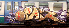 opak | torino | train | italy (22 votes)