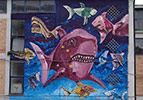 pin | shark | campobasso | italy (6 votes)