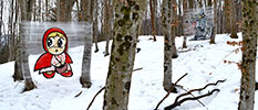 sqon | snow | winter13 | italy (28 votes)