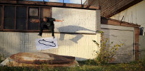 2new4streetview | skate | amsterdam | netherlands (14 votes)