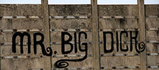 mr-big-dick | netherlands (7 votes)