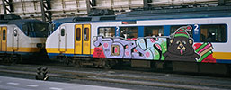 yesyo | bear | train | amsterdam | netherlands (7 votes)