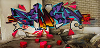 zenga | netherlands (7 votes)