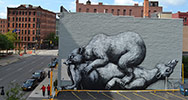 roa | bear | big | usa | north-america (8 votes)