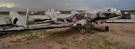 roa | plane | north-america (11 votes)