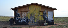 roa | rabbit | usa | north-america (5 votes)