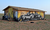 roa | usa | north-america (6 votes)