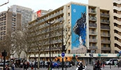 c215 | big | cat | paris (16 votes)