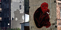 drobczyk | red | monkey | poland (12 votes)