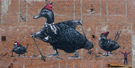pallo | big | duck | finland | scandinavia (14 votes)