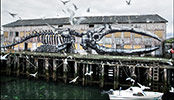 roa | norway | scandinavia (8 votes)
