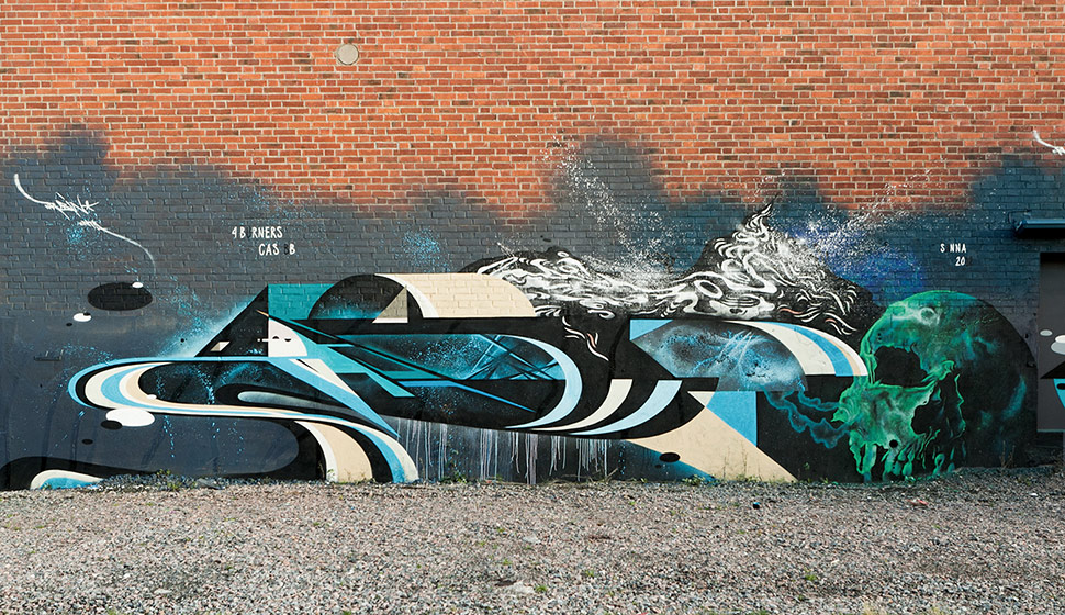 rubin | skull | sweden | scandinavia