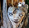 zonenkinder | tree | denmark | scandinavia (13 votes)