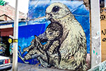 bastardilla | ericailcane | cochabamba | bolivia | south-america (11 votes)