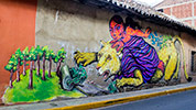 bastardilla | ericailcane | cochabamba | bolivia | south-america (12 votes)