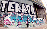 stinkfish | bogota | colombia | south-america (4 votes)