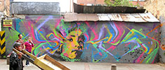 stinkfish | bogota | colombia | south-america (12 votes)