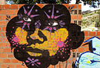 stinkfish | la-paz | bolivia | south-america (8 votes)