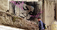 stinkfish | la-paz | bolivia | south-america (8 votes)