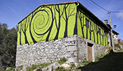 pablo-s-herrero | tree | green | salamanca | spain (8 votes)
