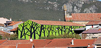 pablo-s-herrero | tree | green | salamanca | spain (10 votes)