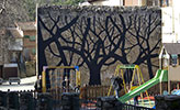 pablo-s-herrero | tree | salamanca | spain (9 votes)