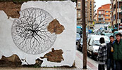 pablo-s-herrero | david-de-la-mano | salamanca | spain (11 votes)