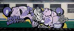 rose | purple | train-italy (17 votes)
