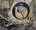 teck | hand | kiev | ukraine (11 votes)