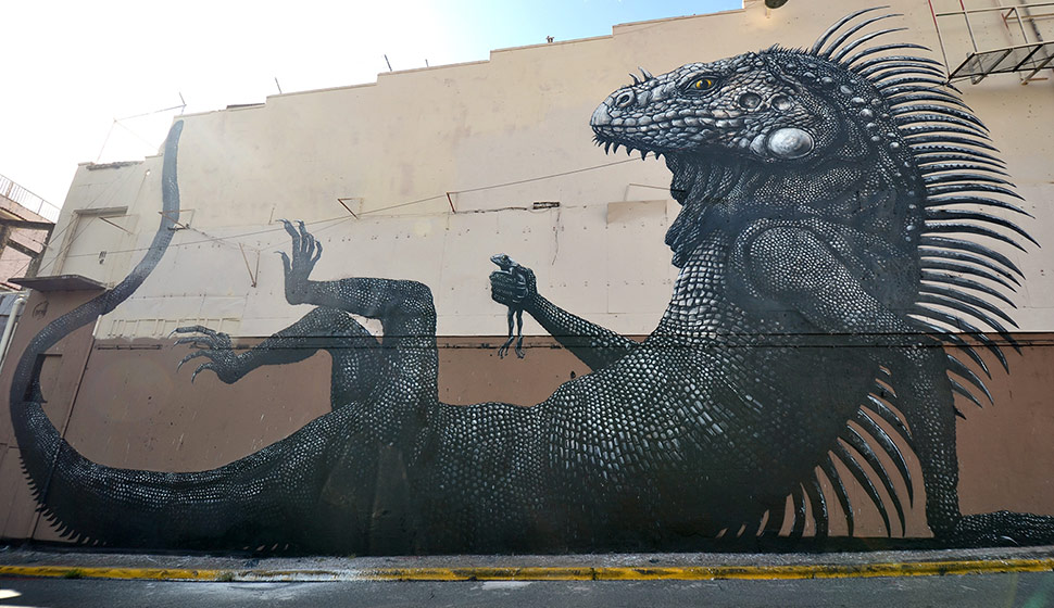 roa | big | puerto-rico | various