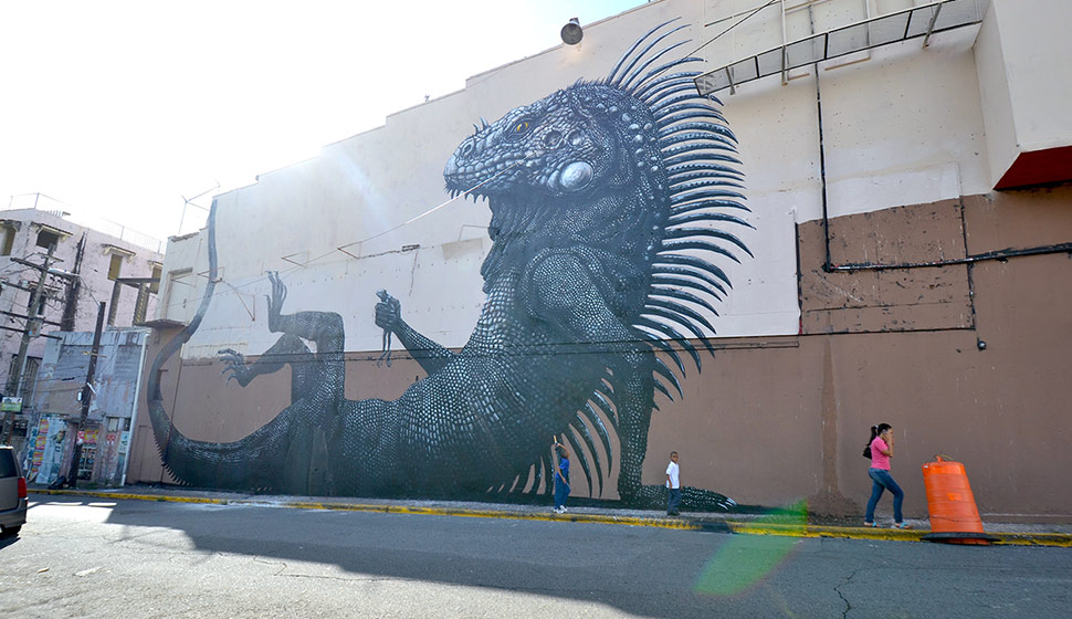roa | big | puerto-rico | various | fall12