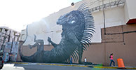 roa | big | puerto-rico | various | fall12 (13 votes)