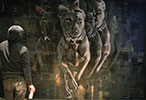 steve-locatelli | dog | belgium (15 votes)