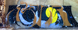 -bear- | dmc | france