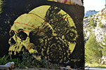 monsieurqui | skull | 132 | marseille | france (16 votes)