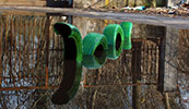 fra-biancoshock | 3-d | green | water | italy (14 votes)