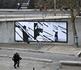graphic-surgery | lemur | billboard | paris (13 votes)