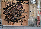 monsieurqui | flower | black | paris (10 votes)