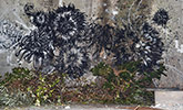 monsieurqui | flower | black | paris (9 votes)