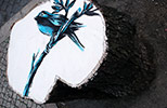 pantonio | bird | tree | lisboa | portugal (4 votes)