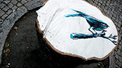 pantonio | bird | tree | lisboa | portugal (5 votes)