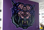 capiflex | purple | tiger | valencia | spain (8 votes)