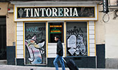 dingoperromudo | madrid | spain (11 votes)