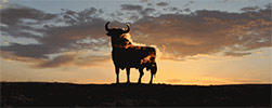 sam3 | toro | fire | sam3-toro | spain (16 votes)