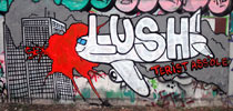 lush | plane | australia (23 votes)