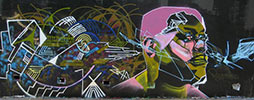 zap | doer | sydney | australia (17 votes)